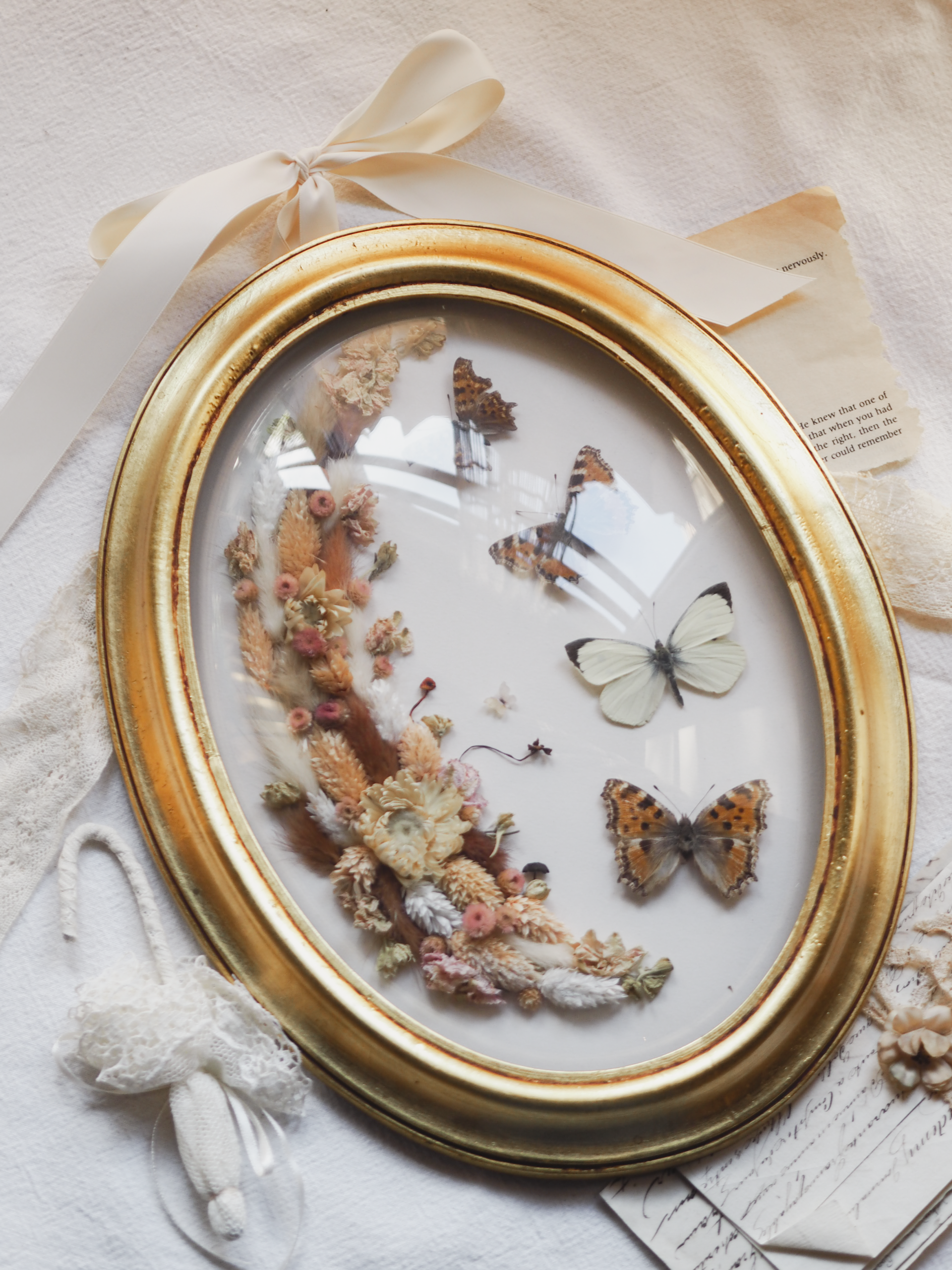 'Golden Glow'︱Dome Glass Frame