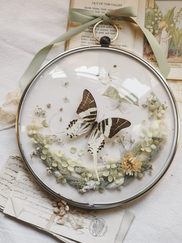 'Round Sage'︱Dome Glass Frame