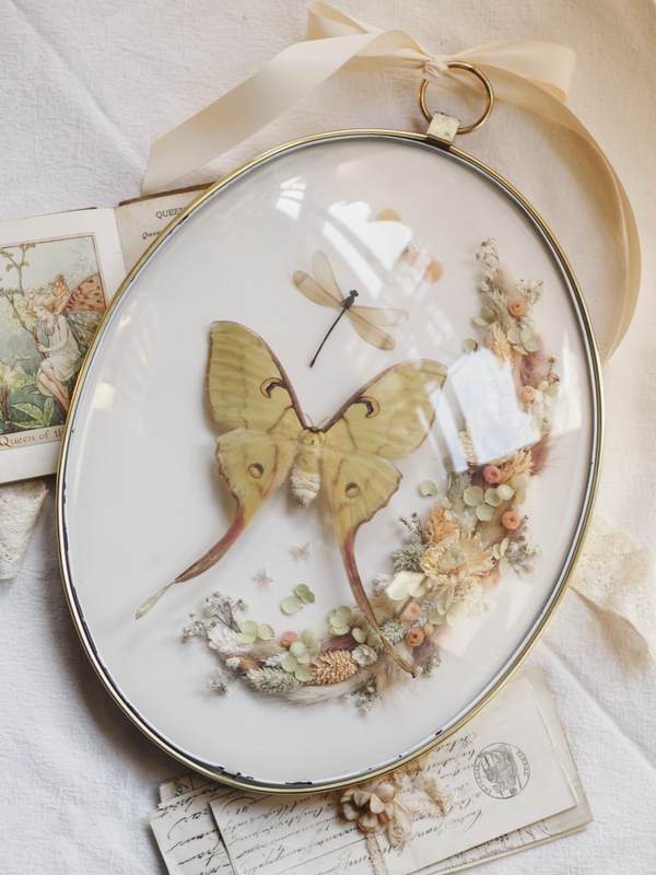 'Sunshine & Grass'︱Dome Glass Frame