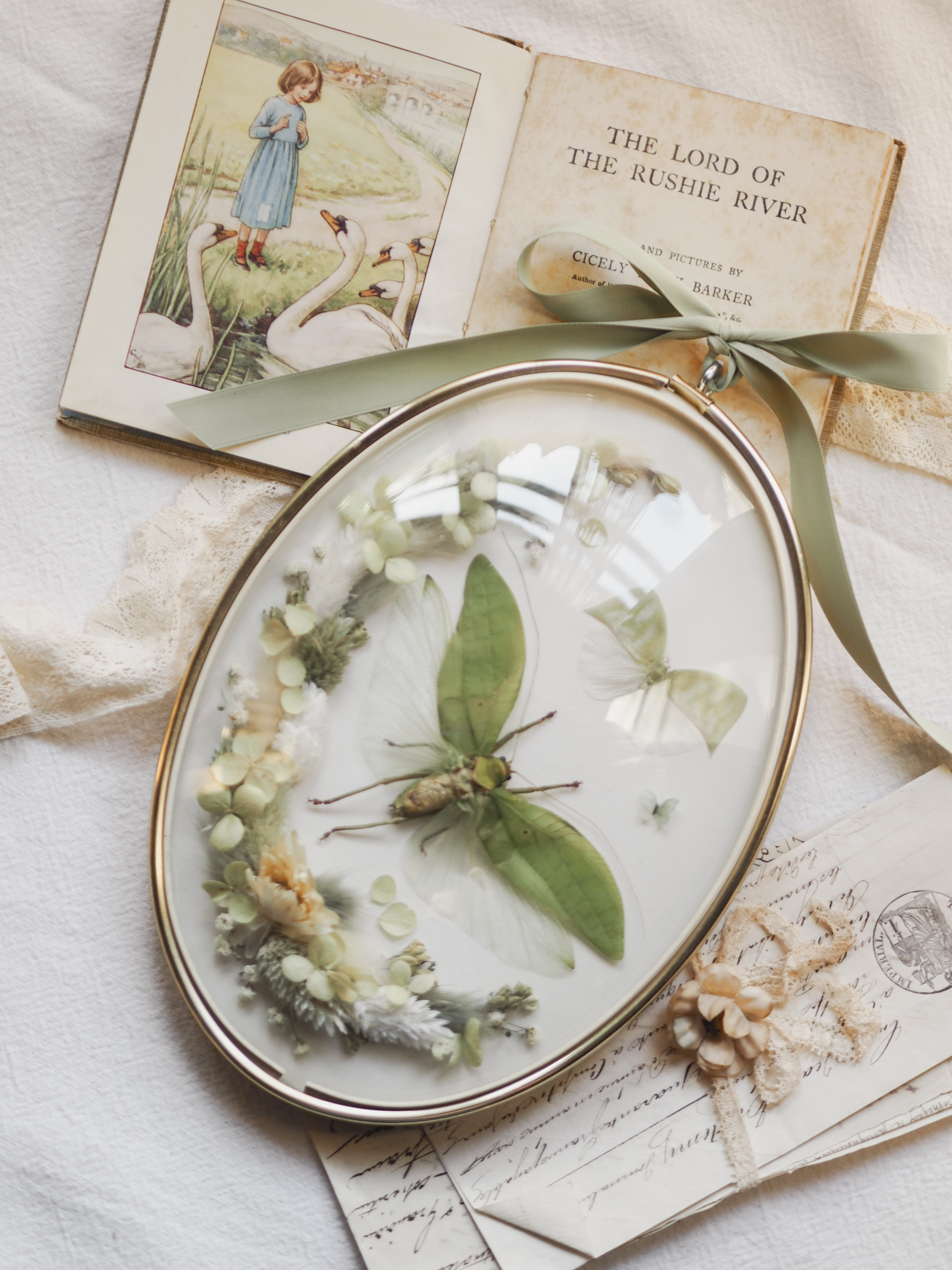 'Like a Leaf'︱Dome Glass Frame