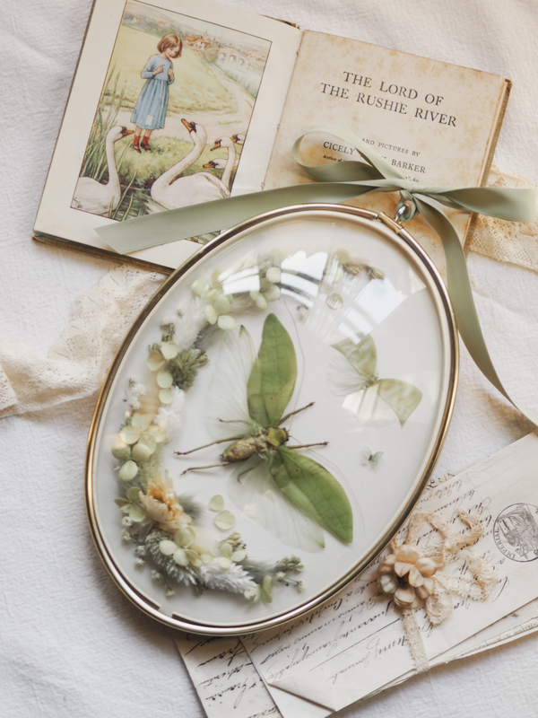 'Like a Leaf'︱Dome Glass Frame