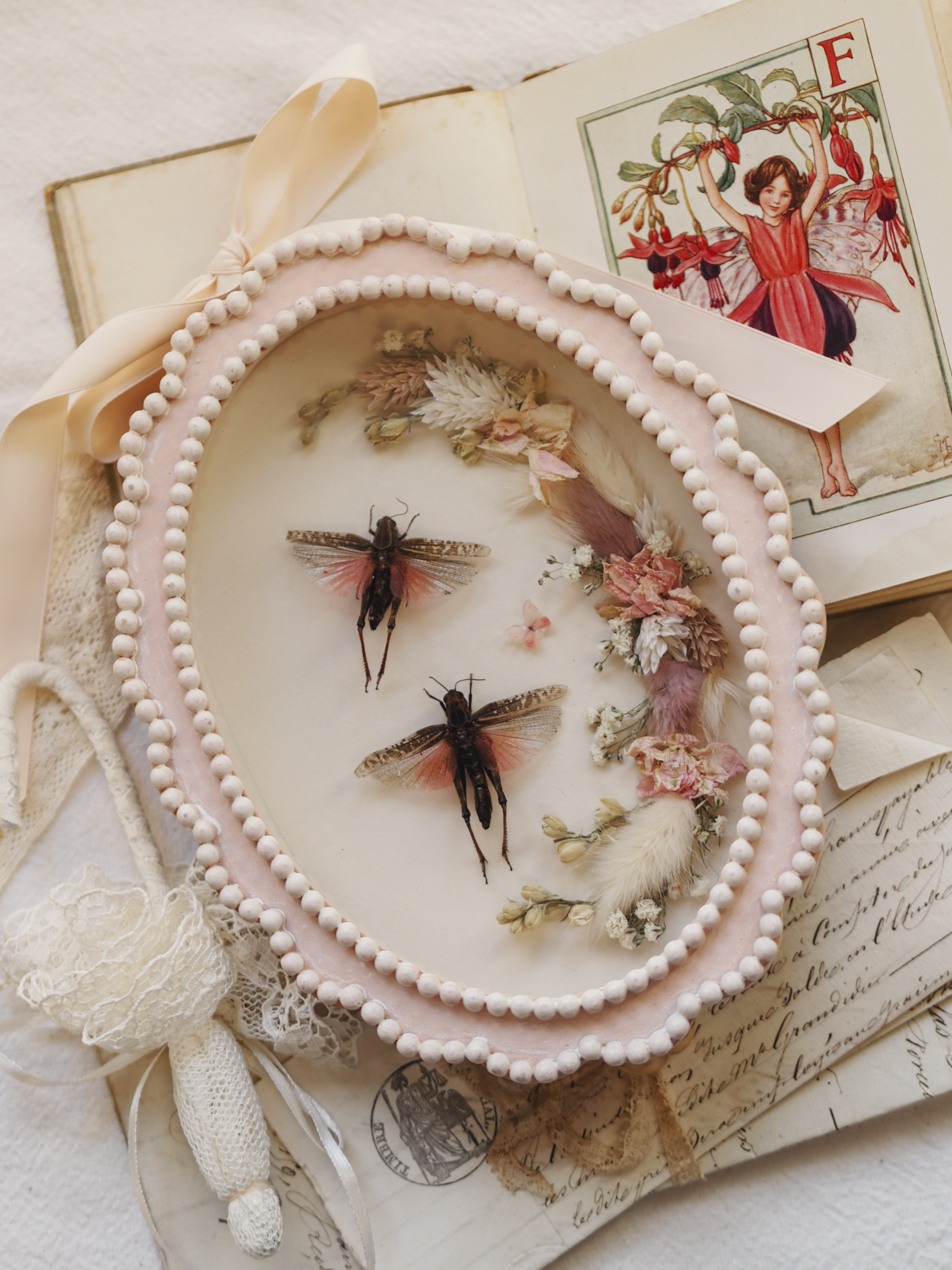 'Double Hop'︱Frame