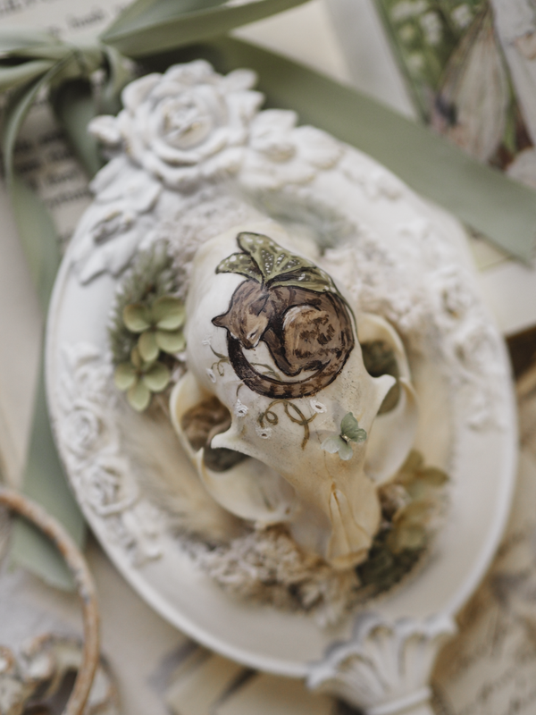 'Winged Cat'︱Skull