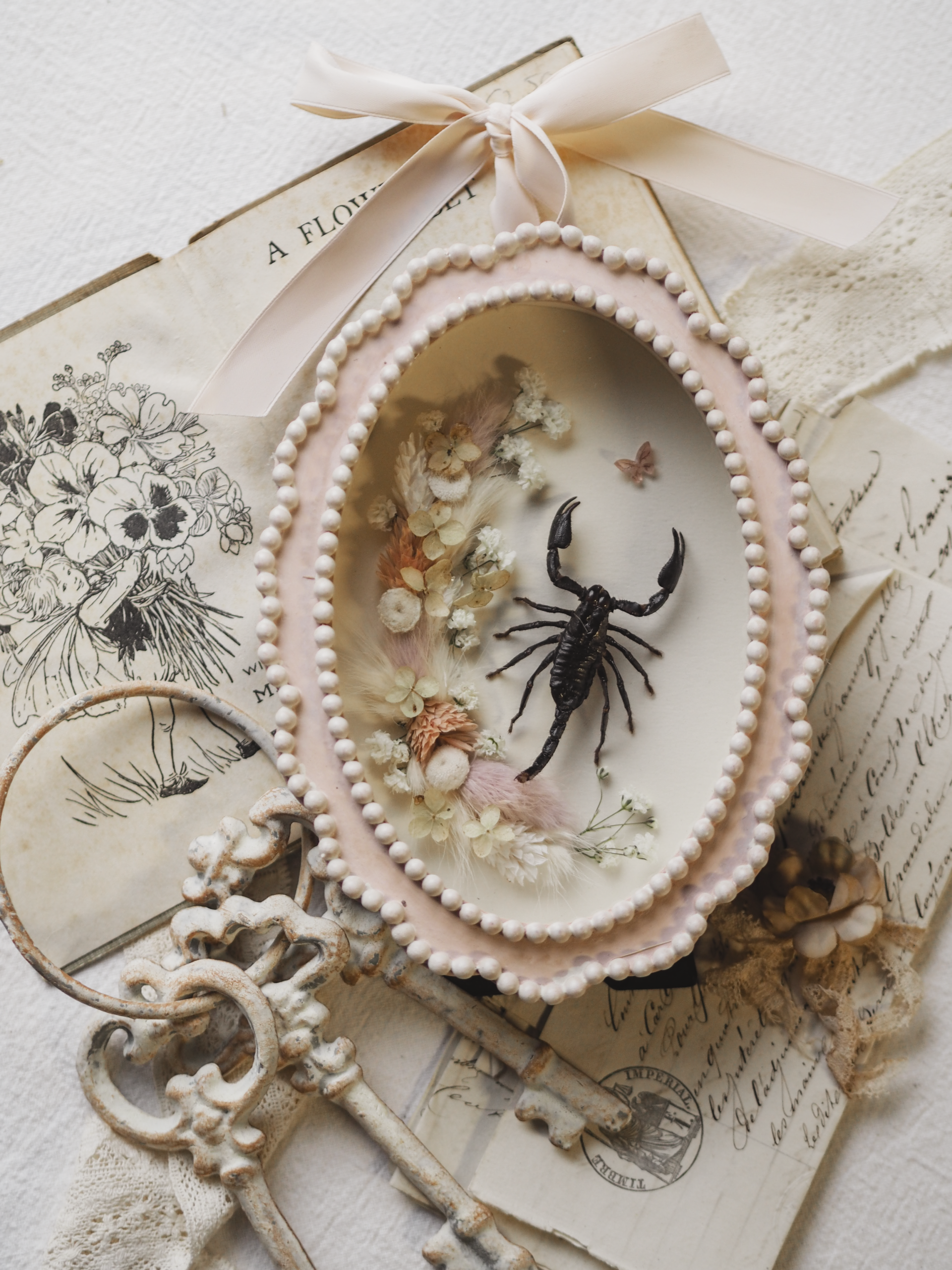 'Scorpion in Pink'︱Frame