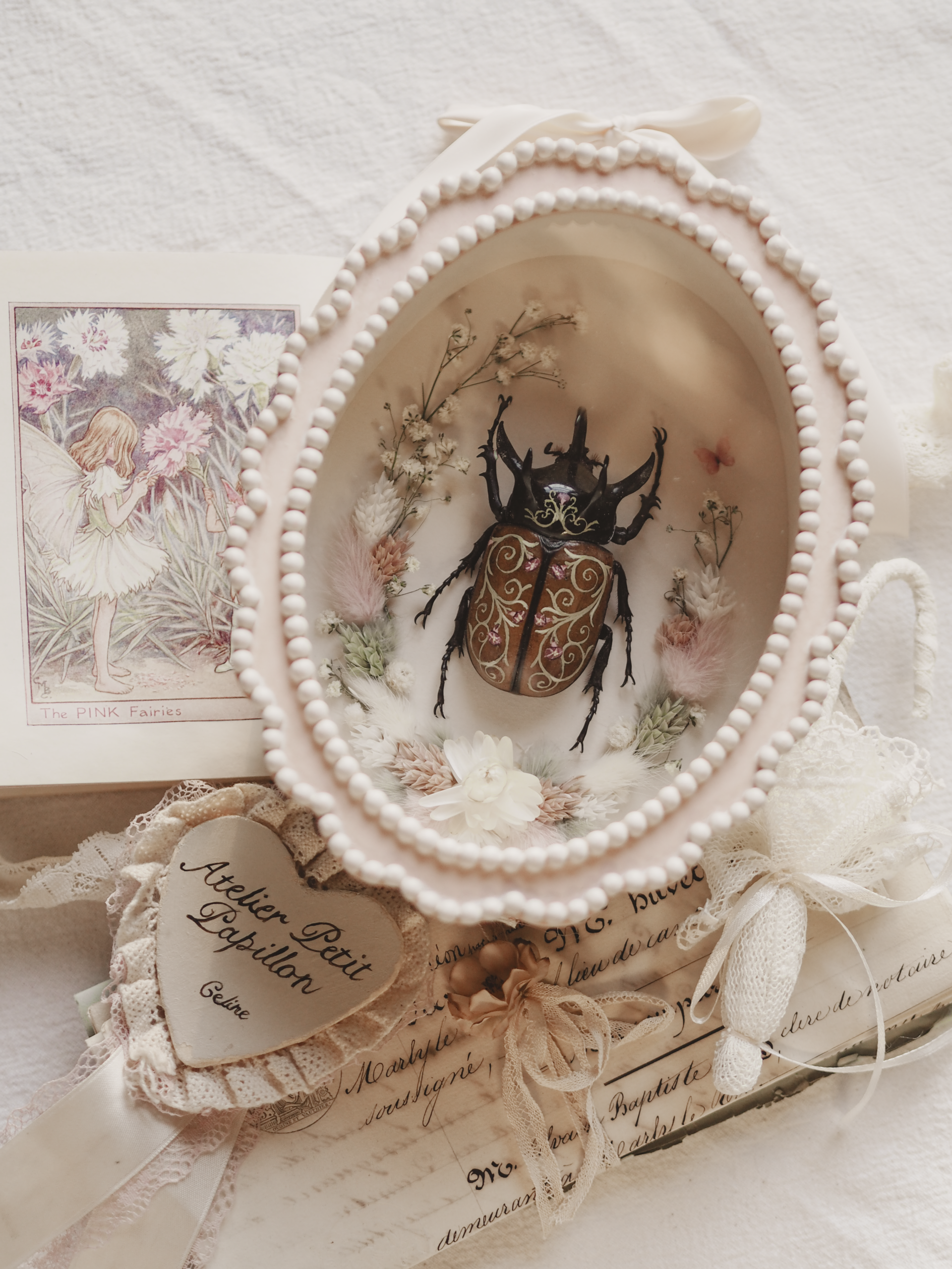 'Morninglory'︱Frame