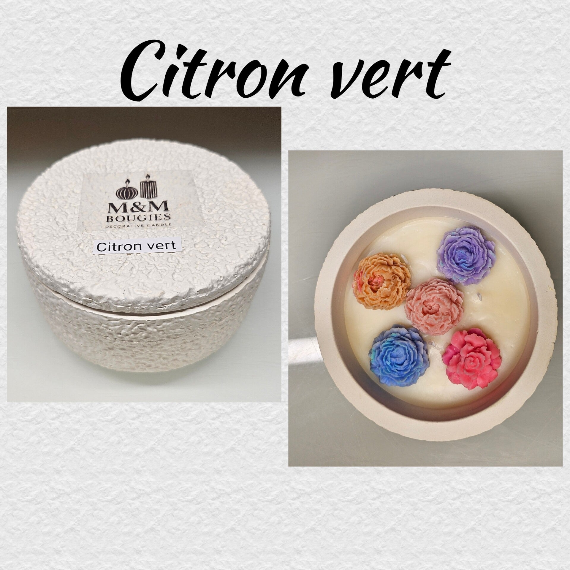 Crépis citron vert