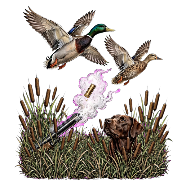2 Ducks