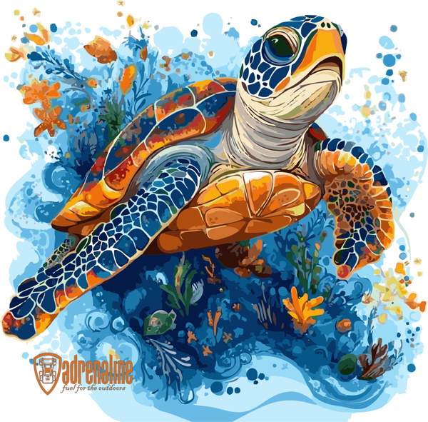 TR038 turtle 2