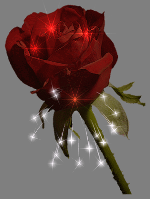 Pic of a rose with flashing lights.