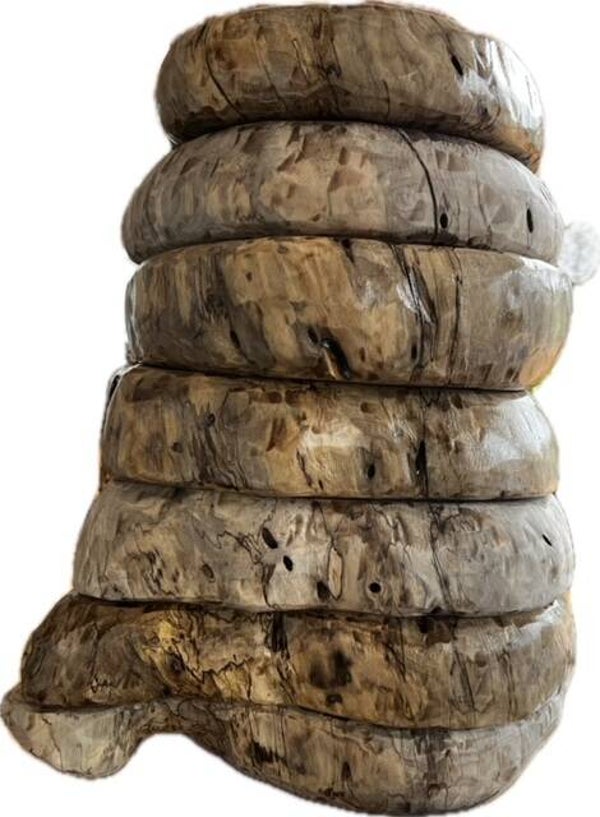 Small Spalted Red Oak Bowl