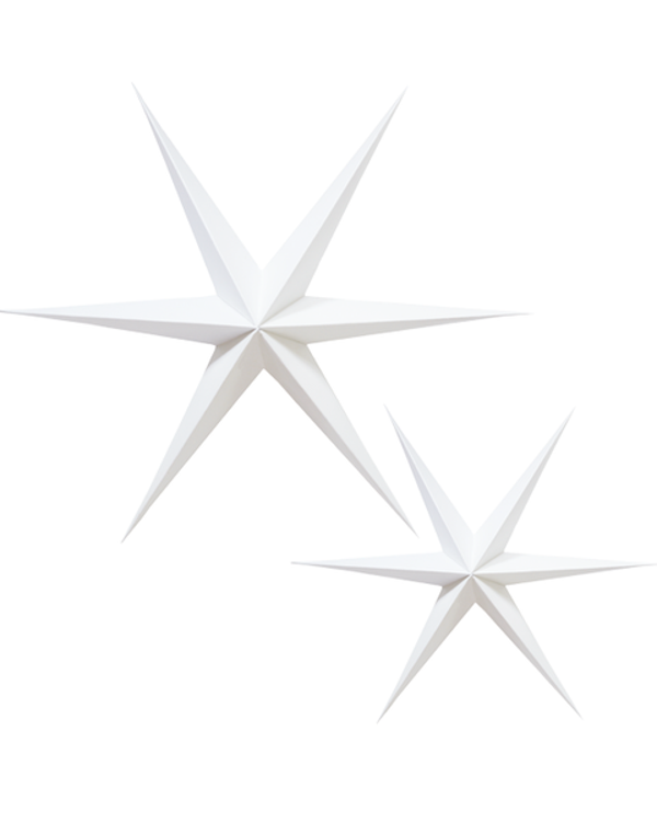 Kerststerren set wit