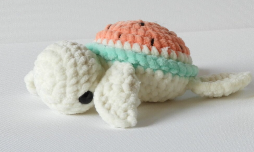 Kleine schildpad