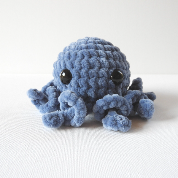 Octopus