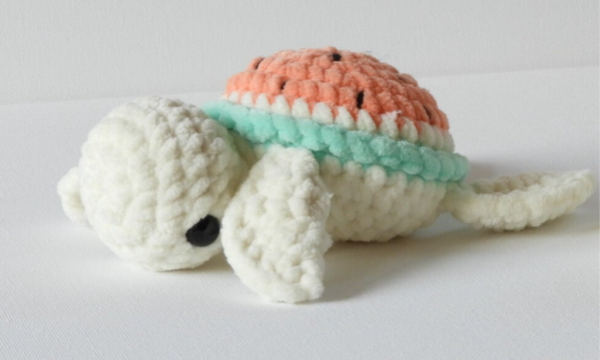Kleine schildpad