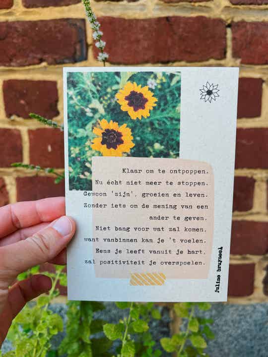 A6 fotokaart - ontpoppen