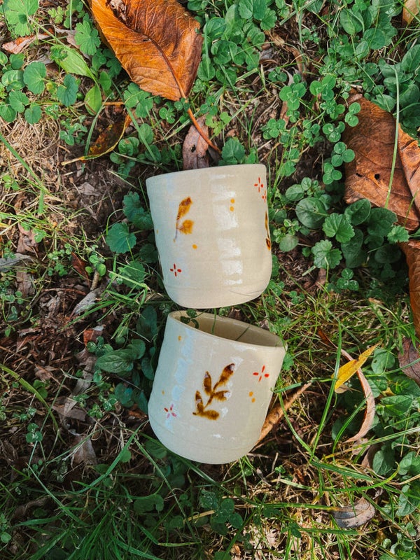 herfst kopje