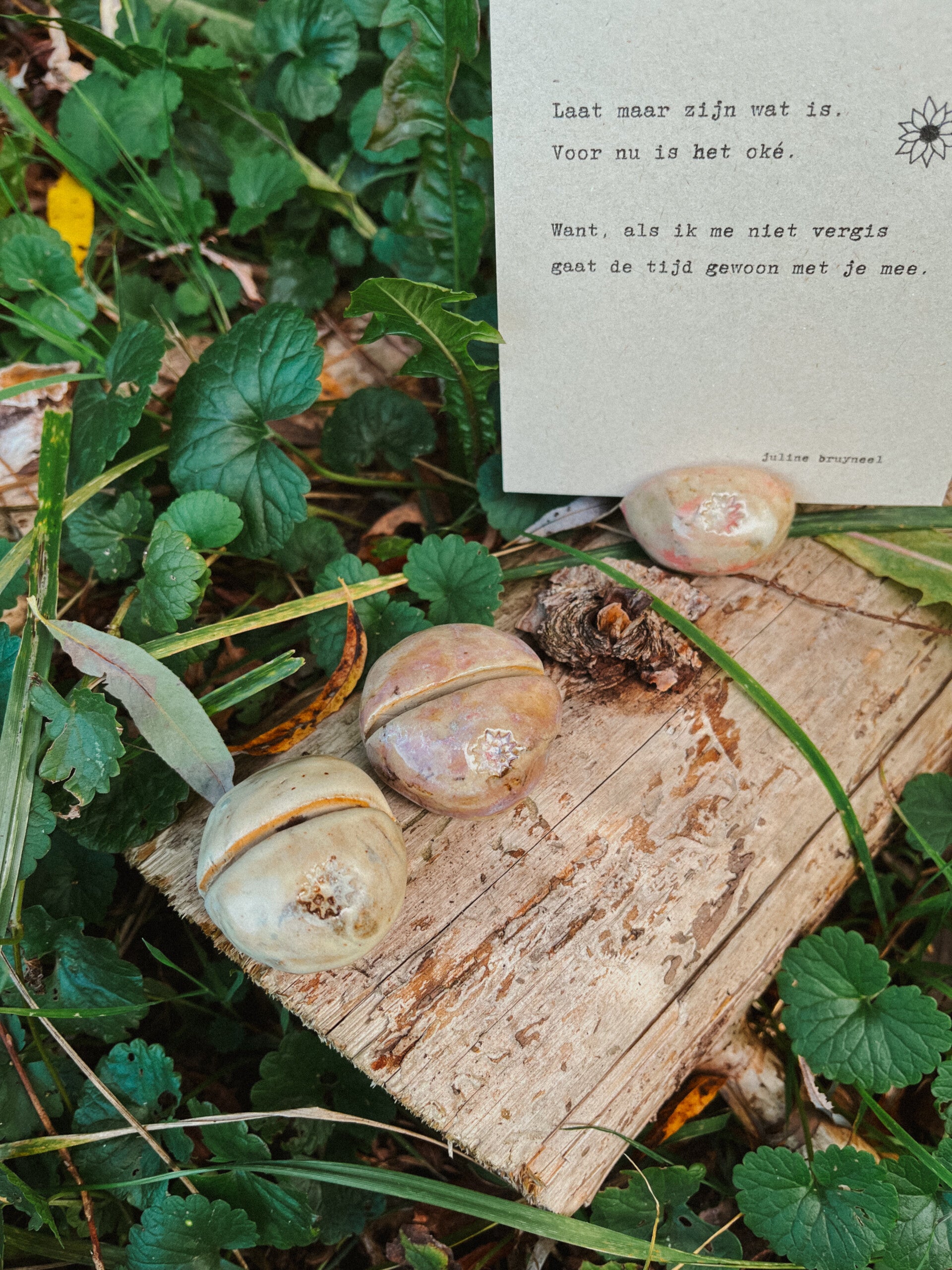 kaarthouders