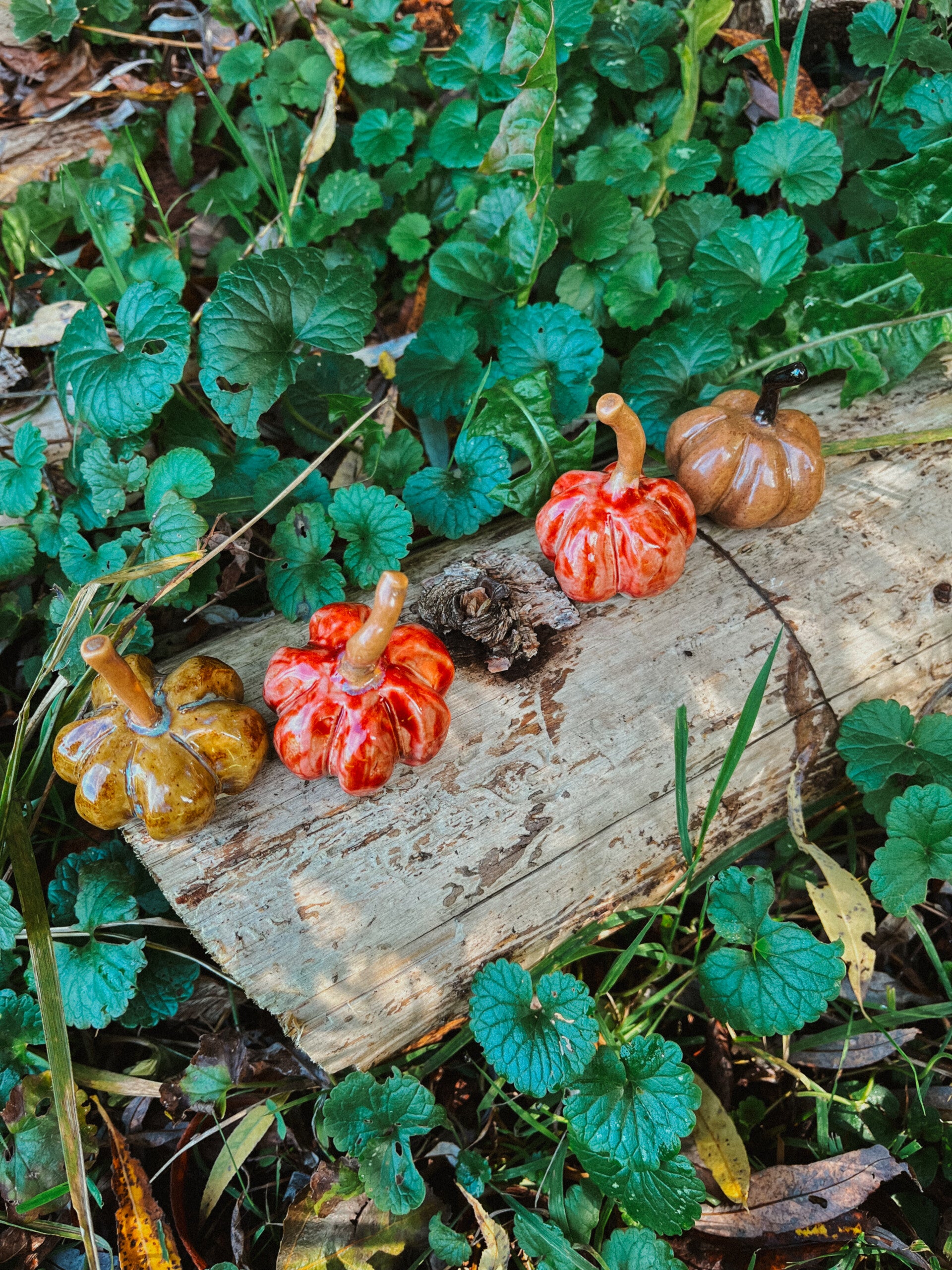 pompoentjes