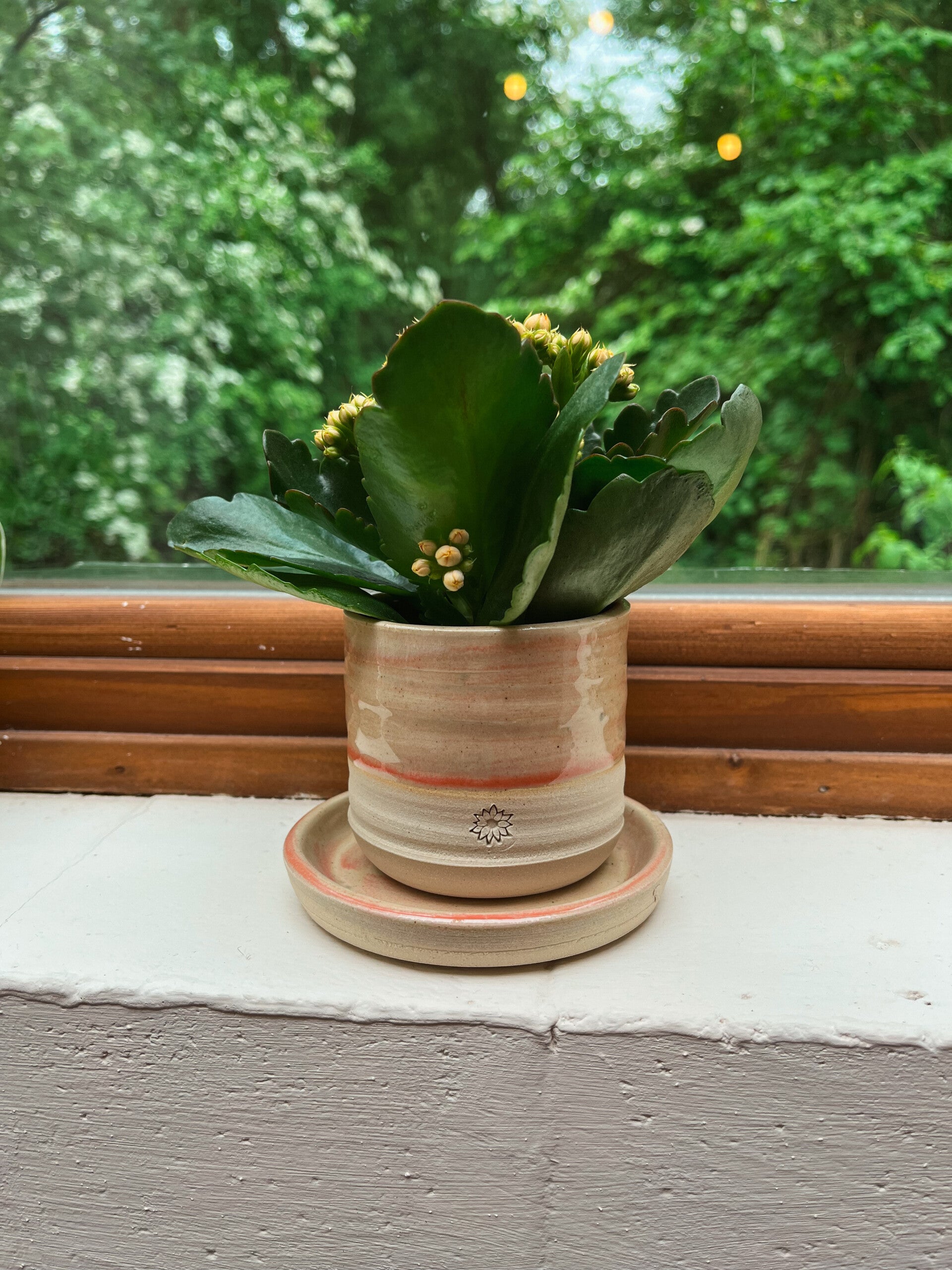 bloempot klein (met onderschaaltje) - creamy roze