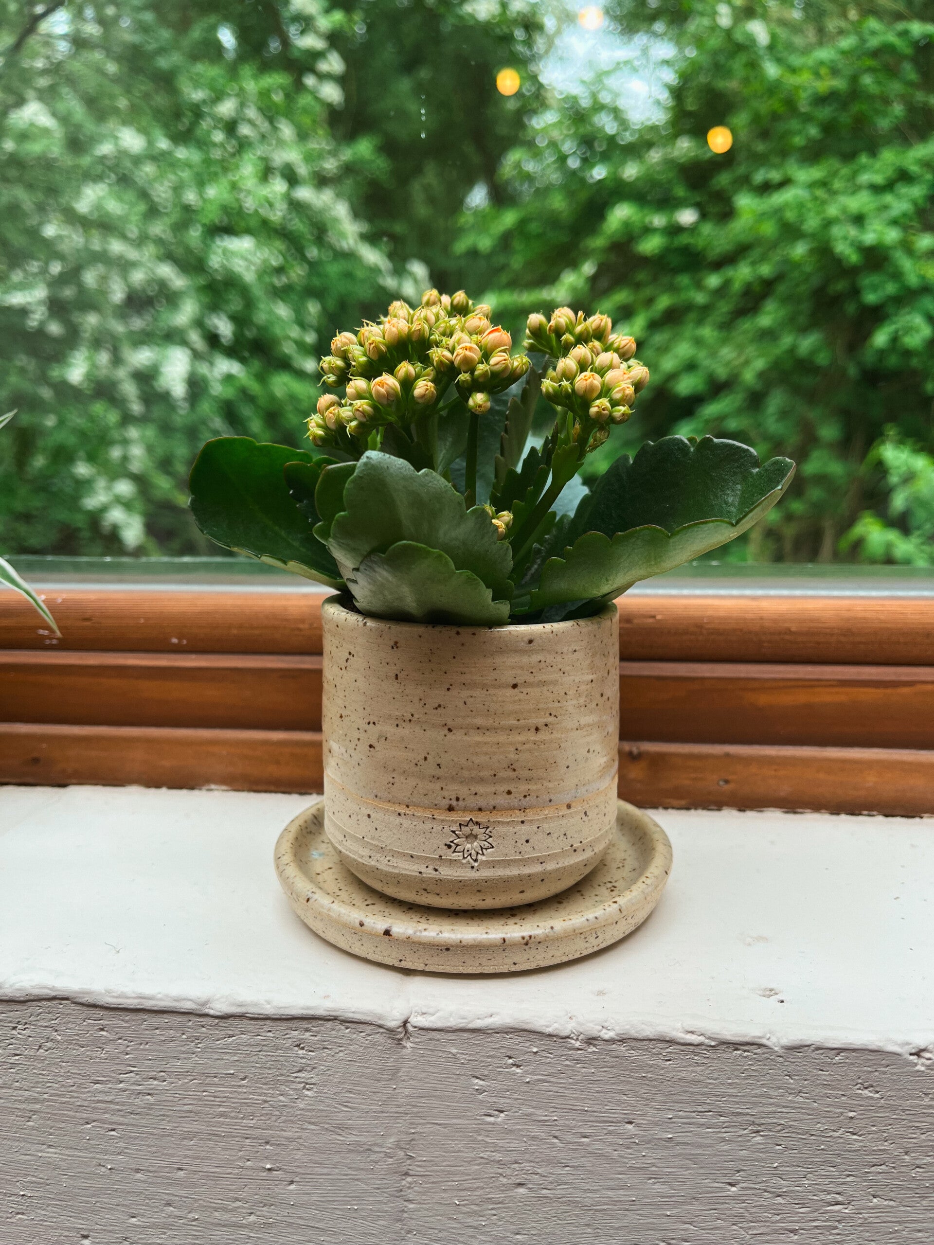 bloempot klein (met onderschaaltje) - spikkel cream