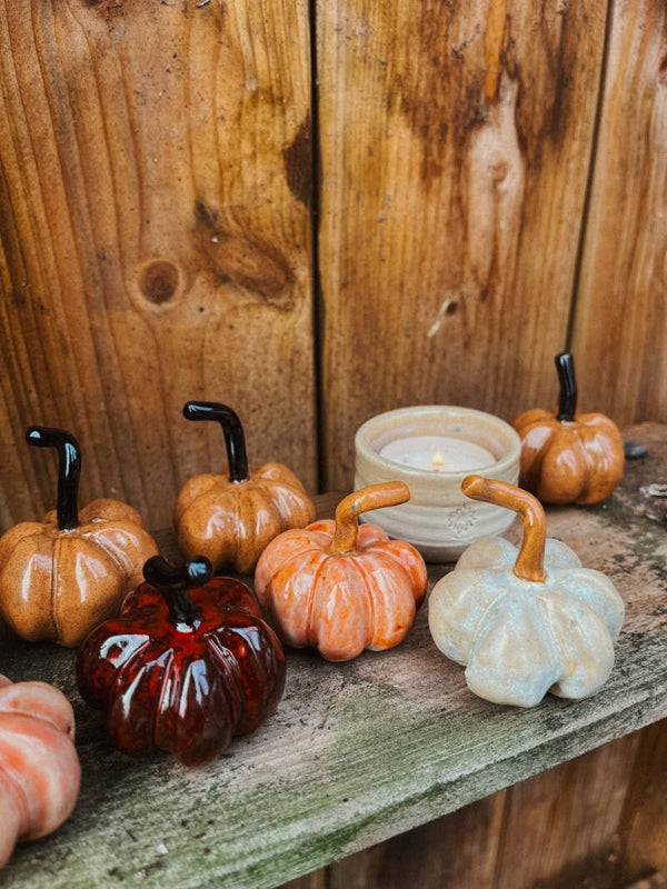 herfst editie: pompoentjes