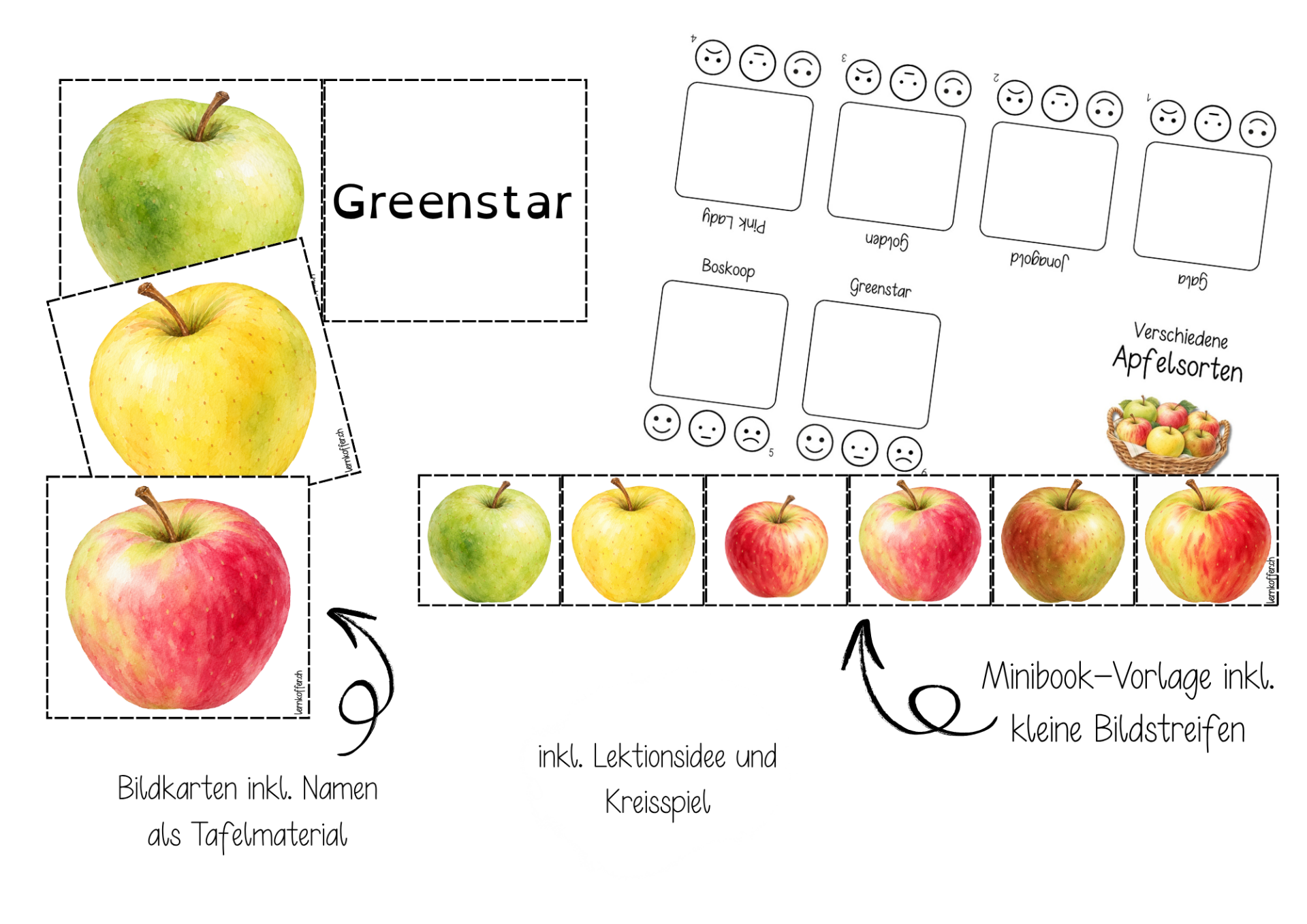 Apfelsorten
