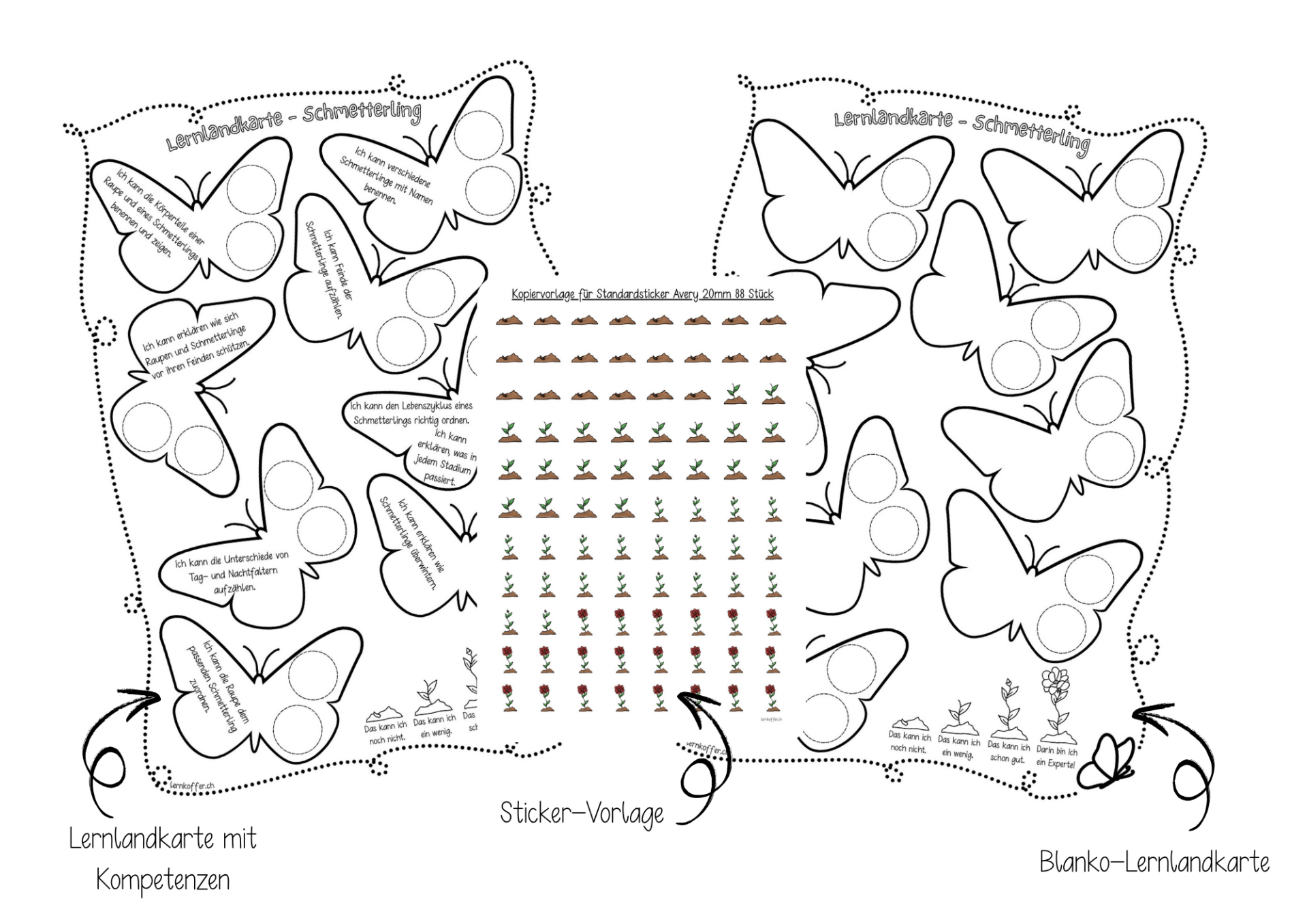 Lernlandkarte - Schmetterling