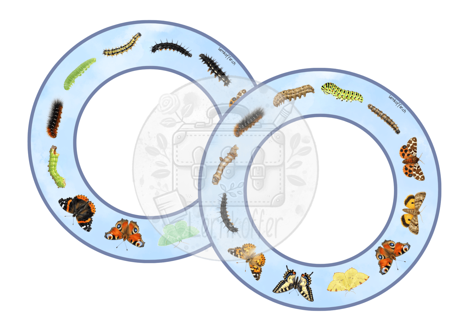 Was gehört zusammen: Raupe und Schmetterling - Vorlage für Korkuntersetzer