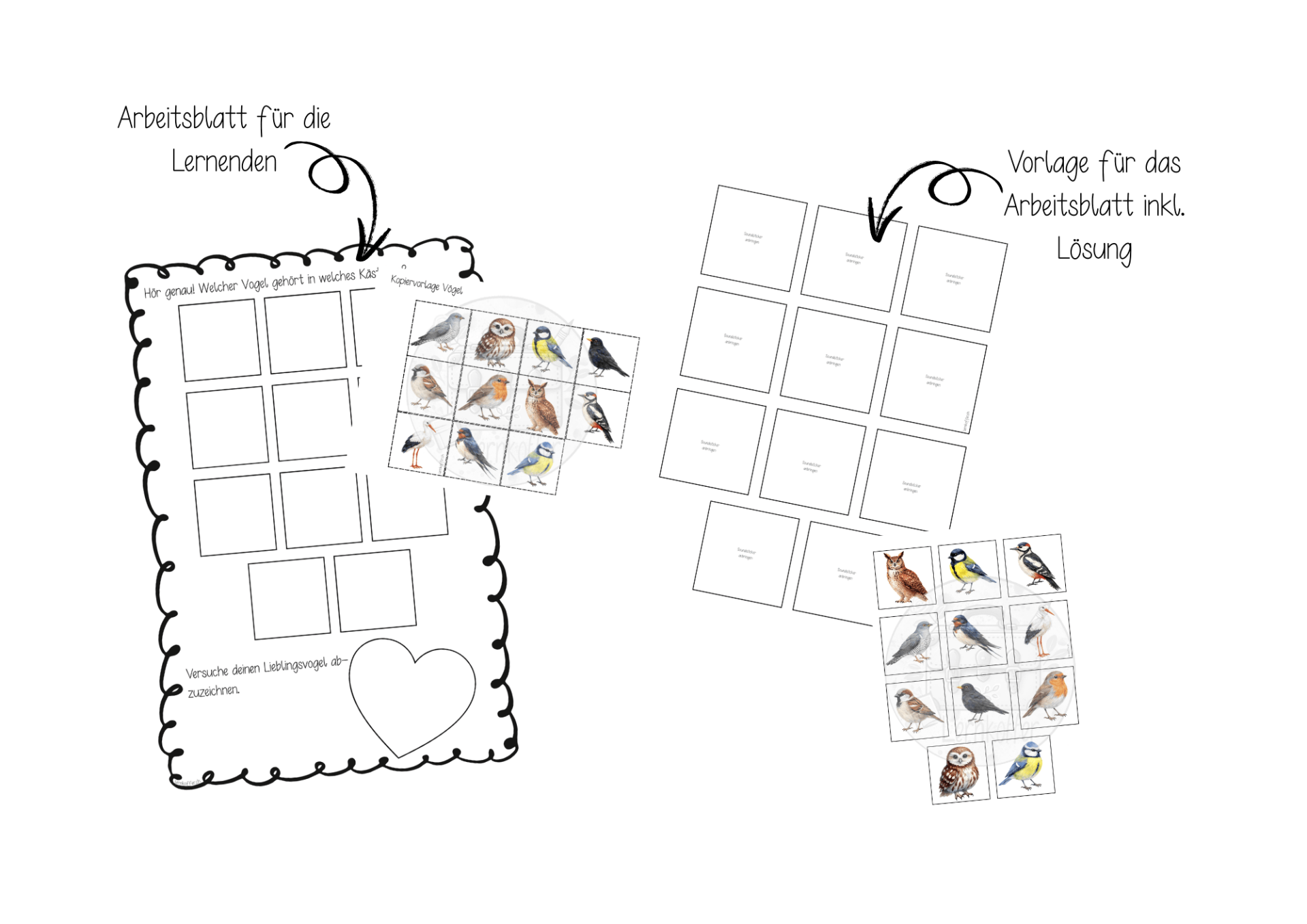 Arbeitsblatt - Vogelnamen (im Vogel - Sparpaket enthalten)