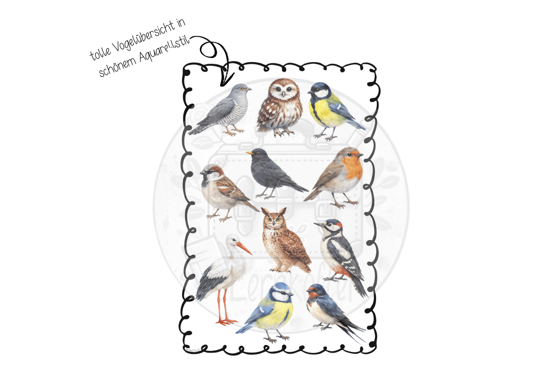 Vogelübersicht (im Vogel - Sparpaket enthalten)