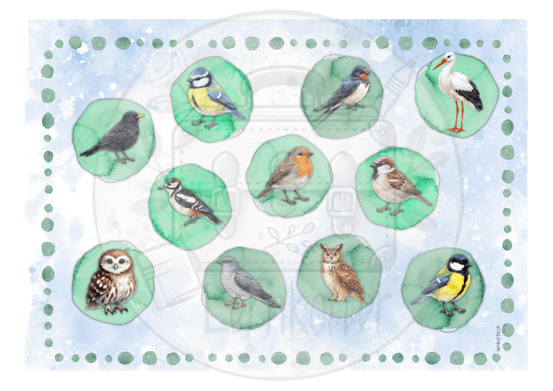 Guck nicht über die Mauer - Vögel (im Vogel - Sparpaket enthalten)