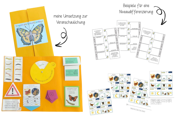 Lapbook - Raupen und Schmetterlinge