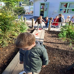 20250923_105317-standard.jpg