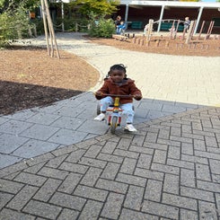 img_2032-standard-8r3fo5.jpg