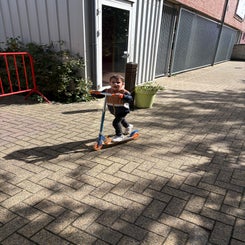 img_2034-standard-qzcddx.jpg