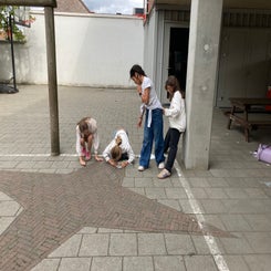 img_5906-standard-1q7ryl.jpg