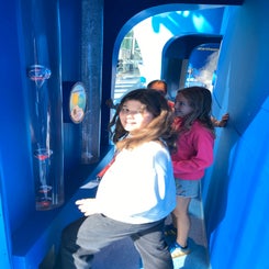 img_5936-standard-e3hwba.jpg