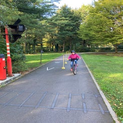 img_6075-standard-e4v4k4.jpg