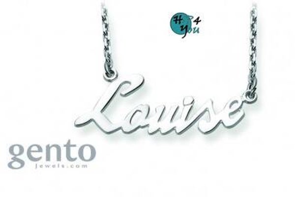 Naamketting Forcat zilver