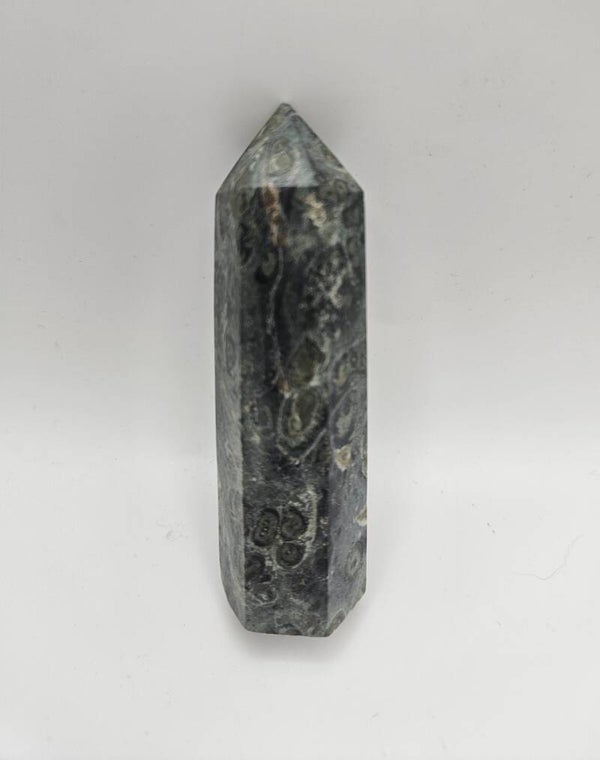 Kambaba Jasper