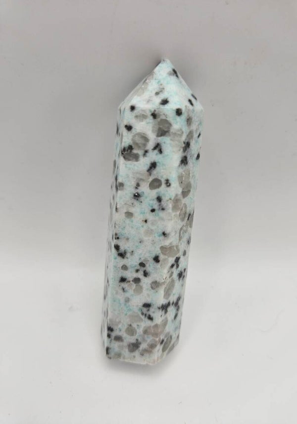 Kiwi Jasper