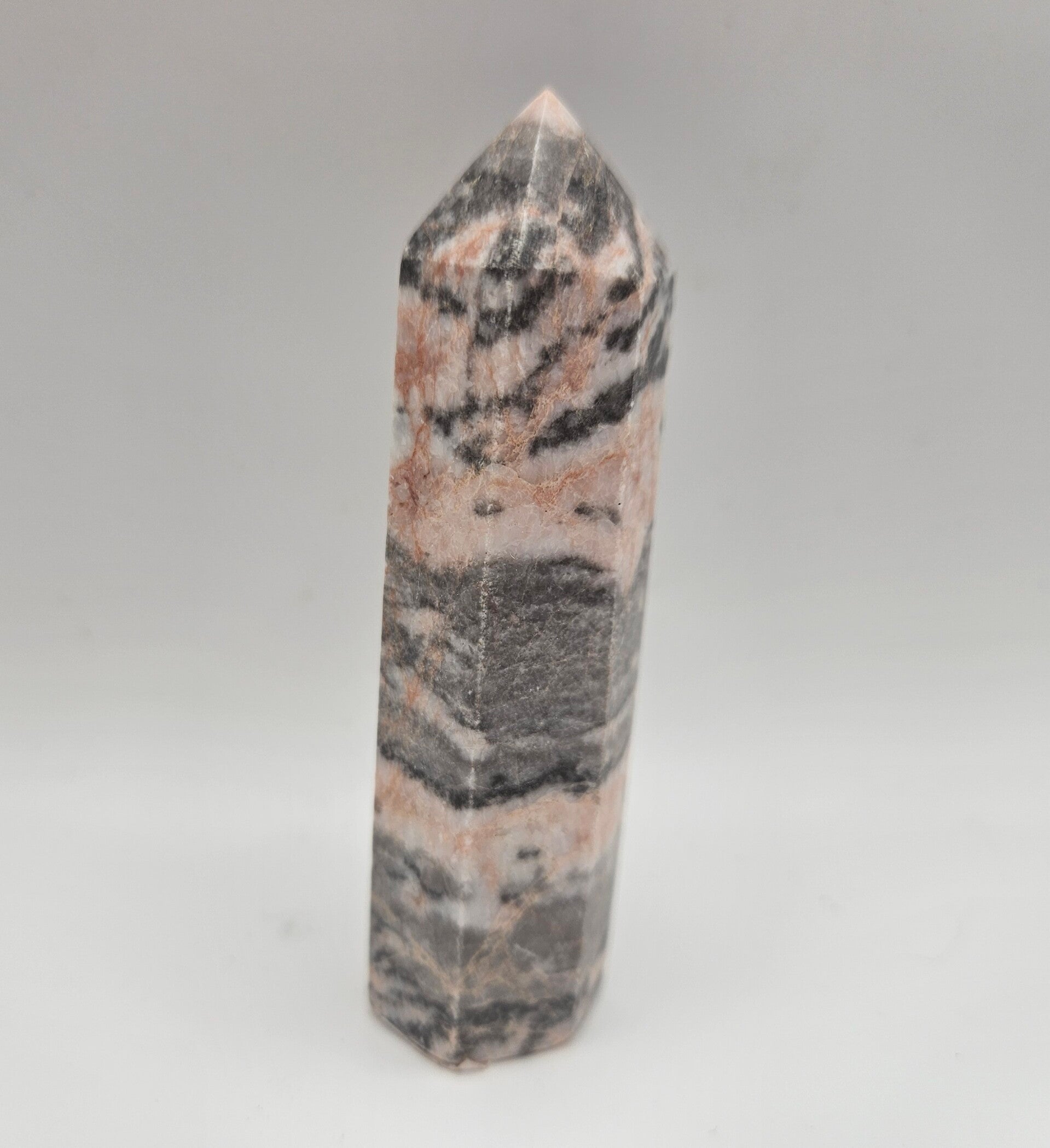 Zebra Jasper