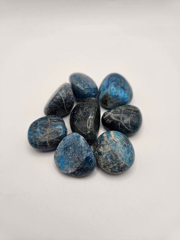 Blue Apetite
