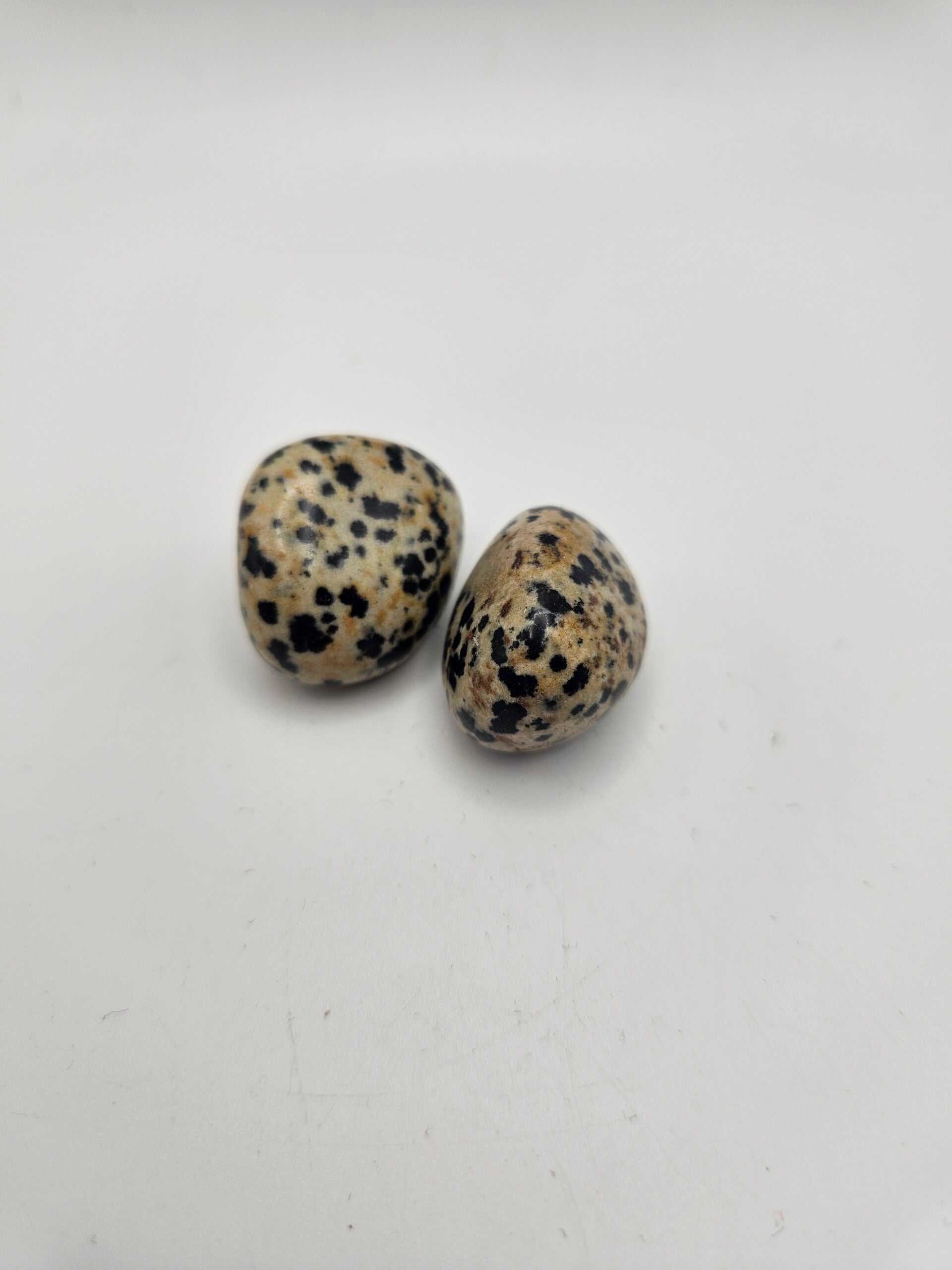 Dalmatian Jasper