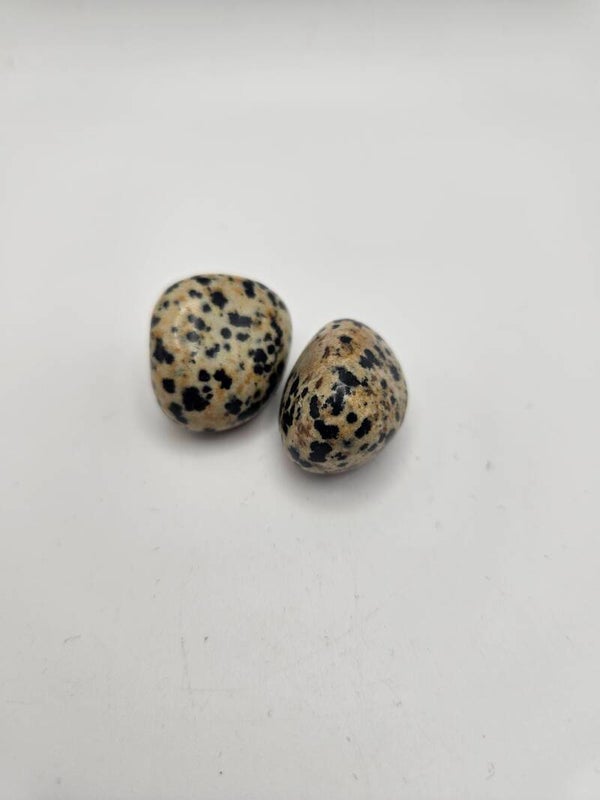 Dalmatian Jasper