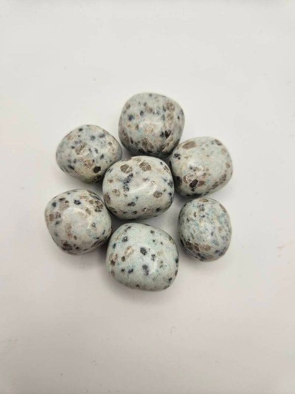 Kiwi Jasper