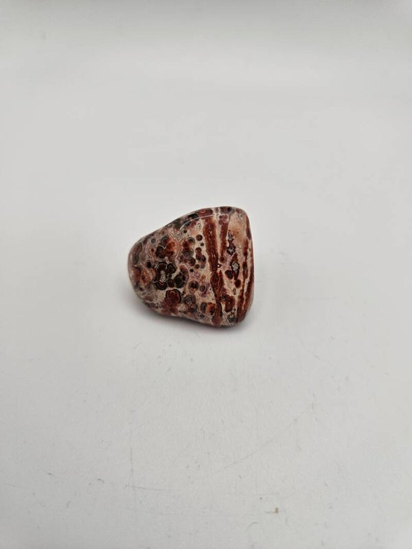 Leopard Skin Jasper