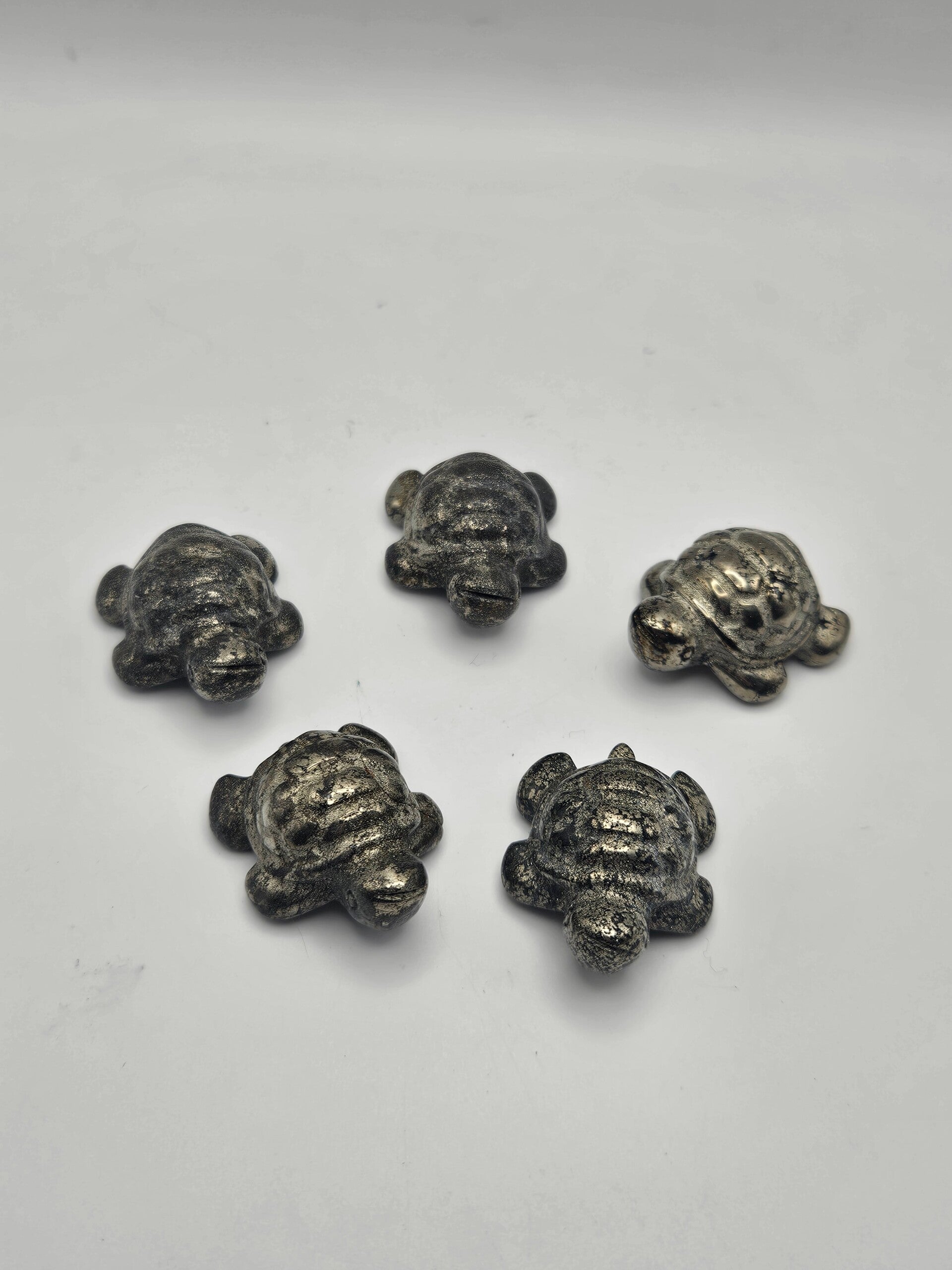 Pyrite Turtle