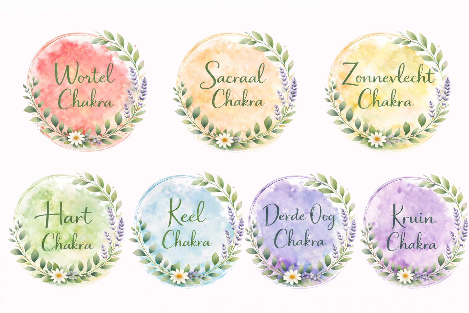 Paarden chakra's