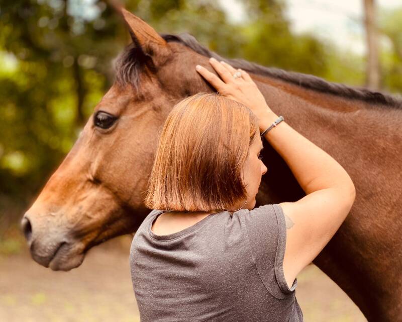 Reiki voor mensen en paarden
